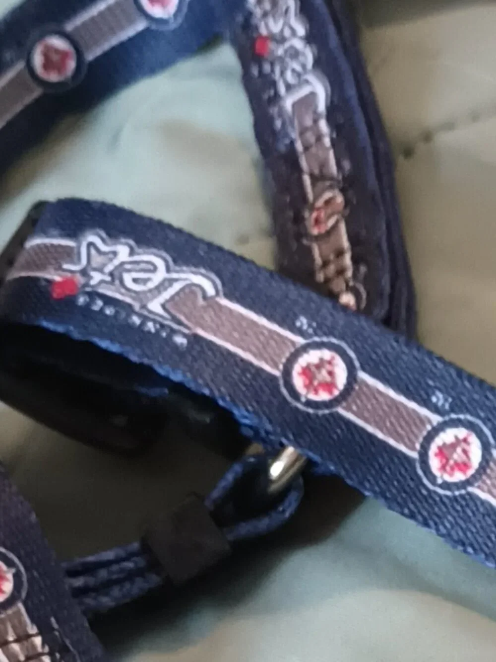 Hunter harnesses are